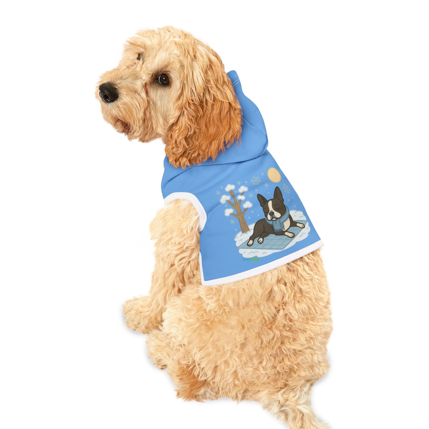 Dogtown Hoodie Winter (Boston Terrier)