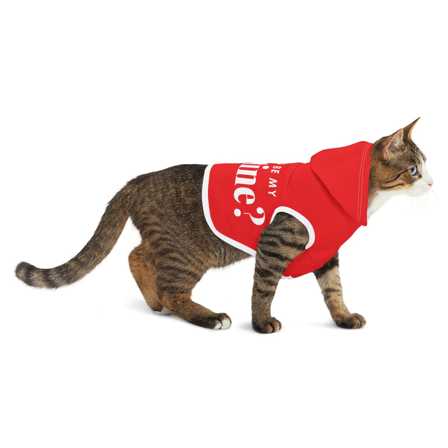 Valentine's Pet Hoodie "Will You Be My Valentine?"