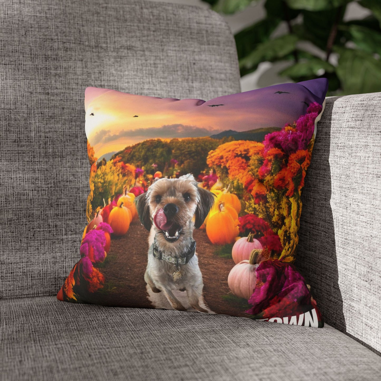 Jasper - Halloween Pillowcase