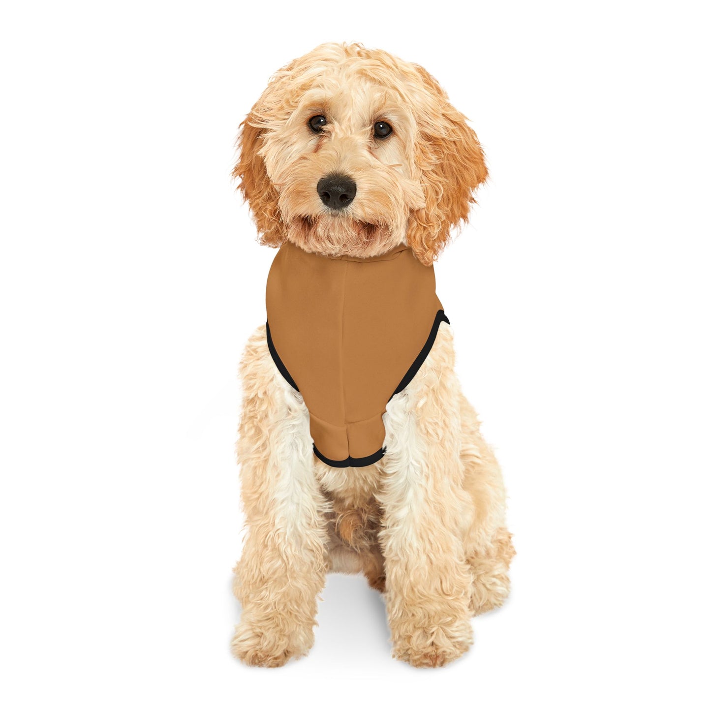 Thanksgiving Pet Hoodie "Little Turkey"