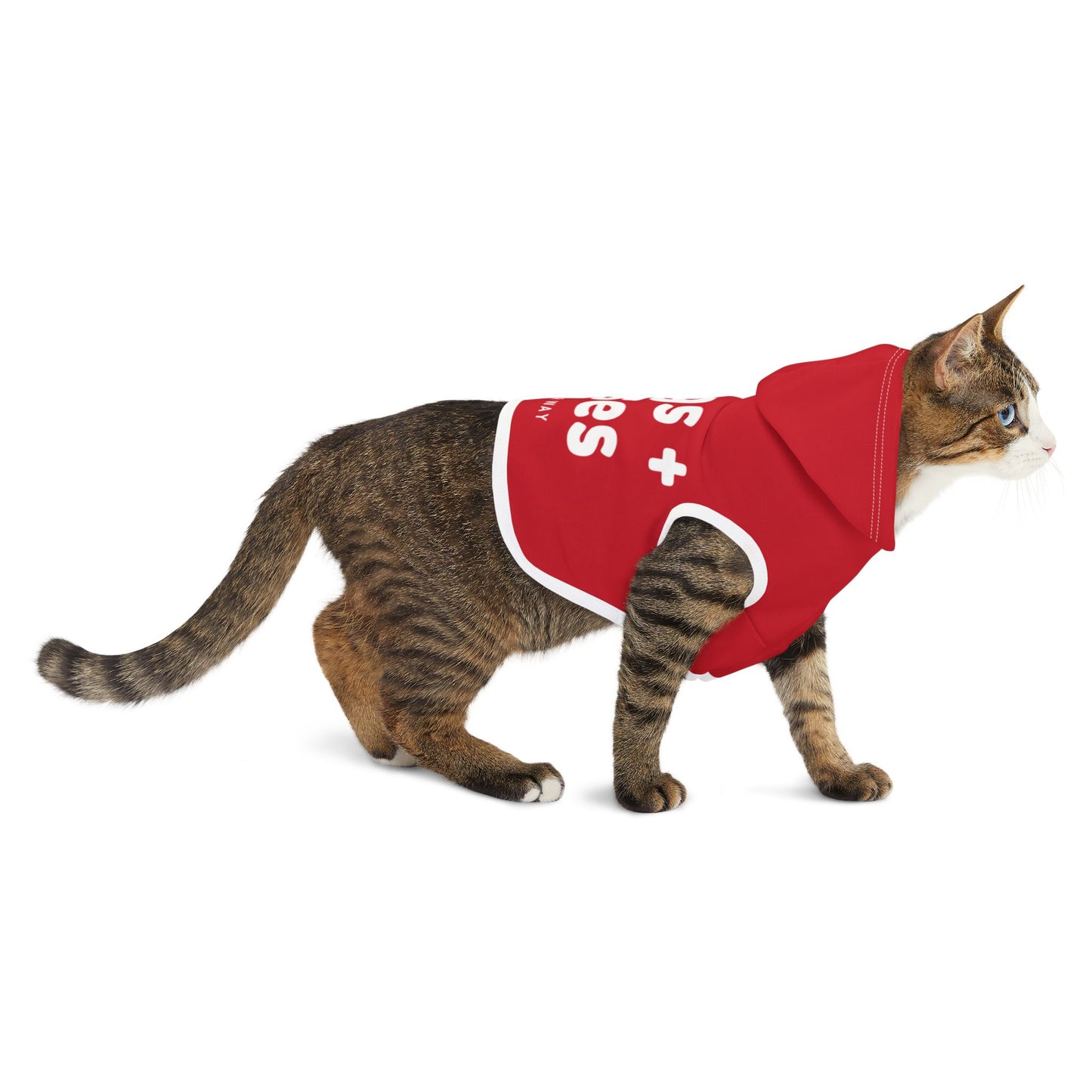 Valentine's Day Pet Hoodie "Hugs and Kisses Coming Your Way" Typography