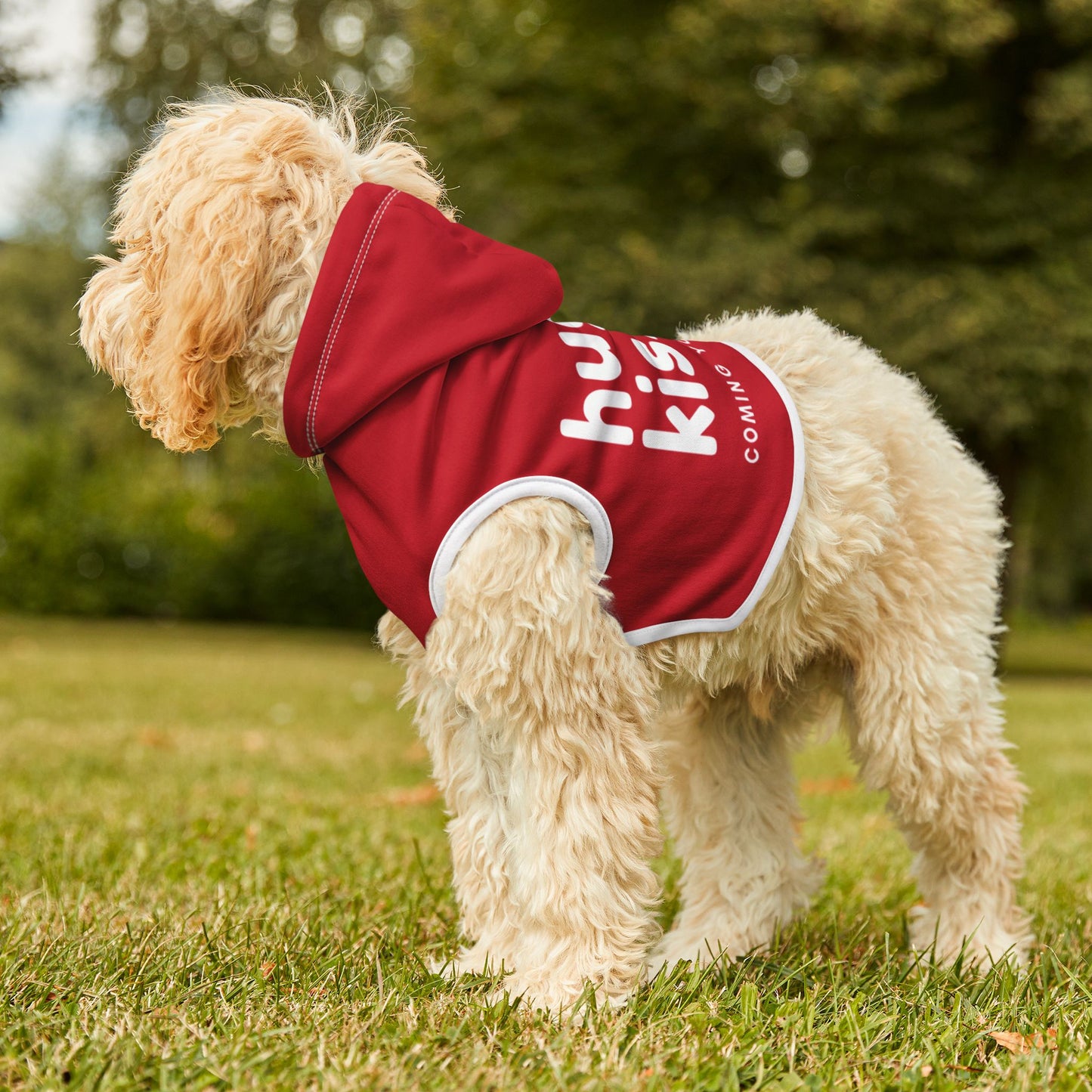 Valentine's Day Pet Hoodie "Hugs and Kisses Coming Your Way" Typography