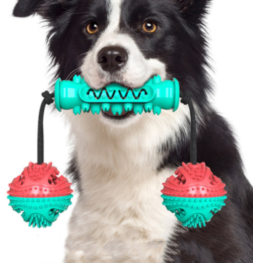 Dog Chew Bone for Teeth Cleaning