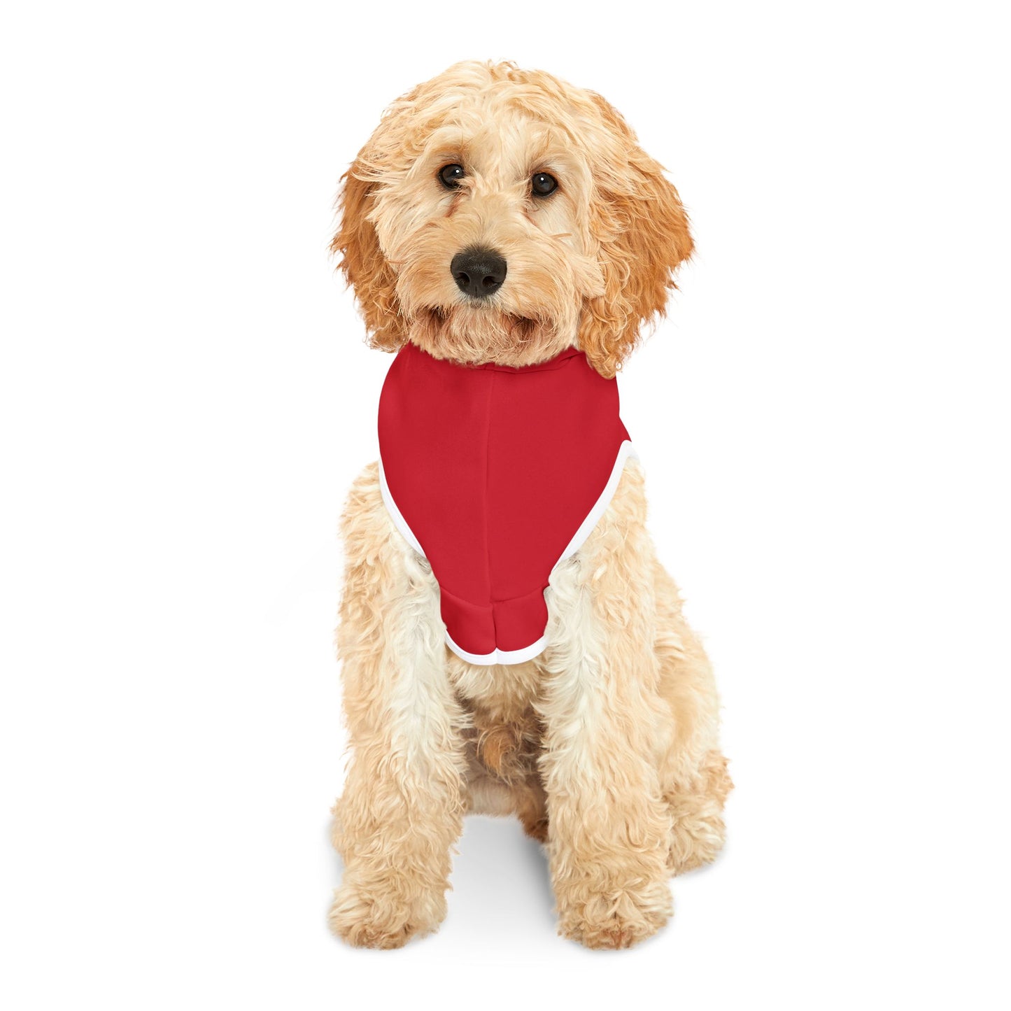 Valentine's Day Pet Hoodie "Hugs and Kisses Coming Your Way" Typography