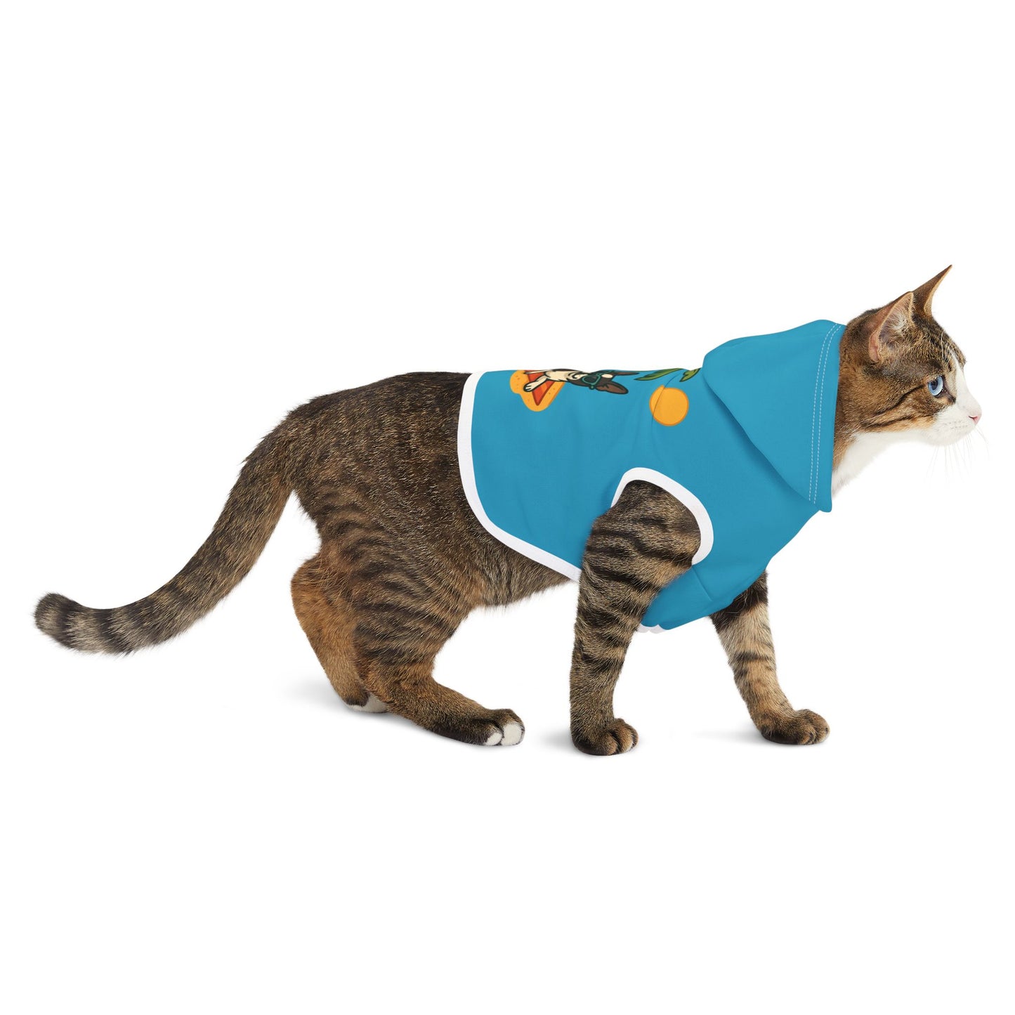 Dogtown Hoodie Summer (Boston Terrier)