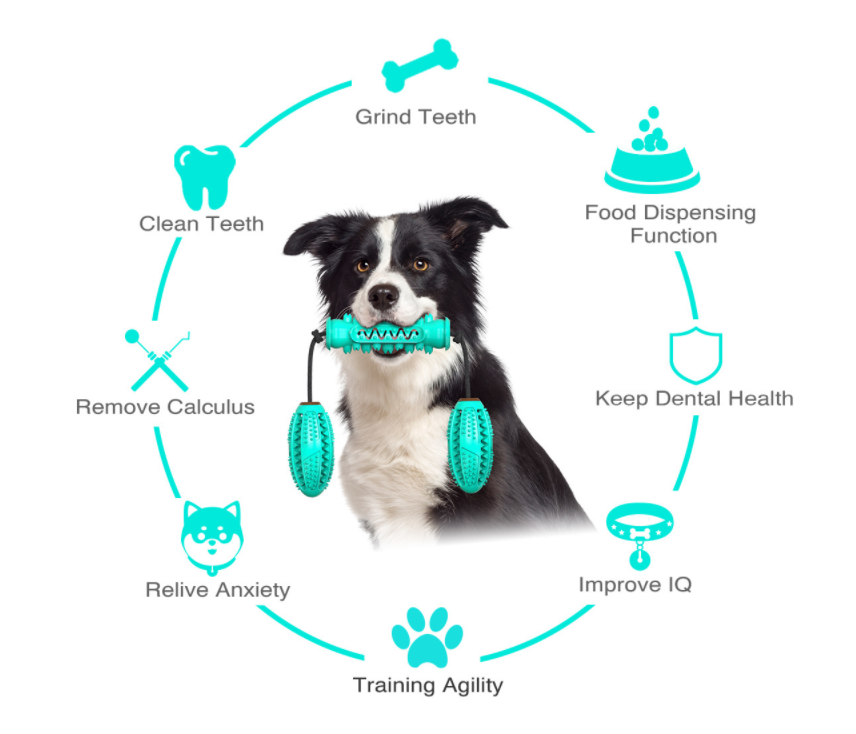 Dog Chew Bone for Teeth Cleaning