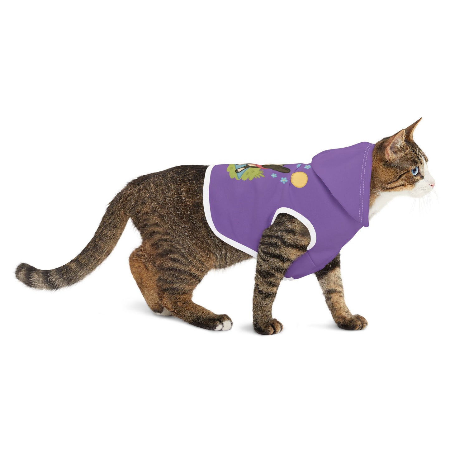 Dog Hoodie Winter (Boston Terrier)