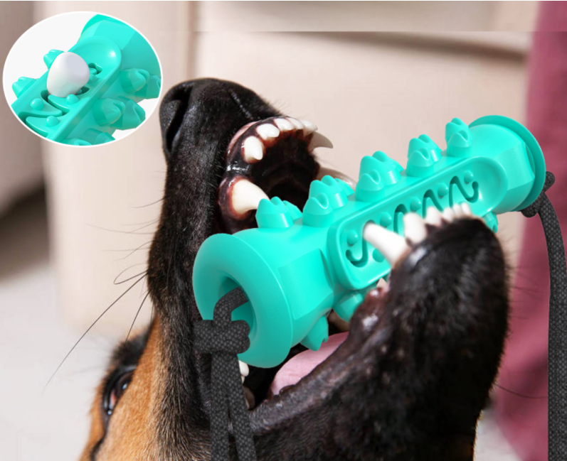 Dog Chew Bone for Teeth Cleaning
