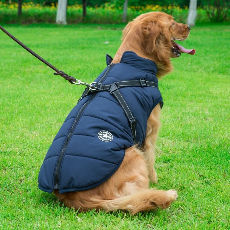 Winter Wonderland Pet Hooded Coat - Stylish And Warm Dog Jacket For Small Breeds