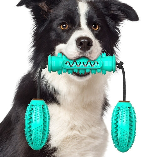 Dog Chew Bone for Teeth Cleaning