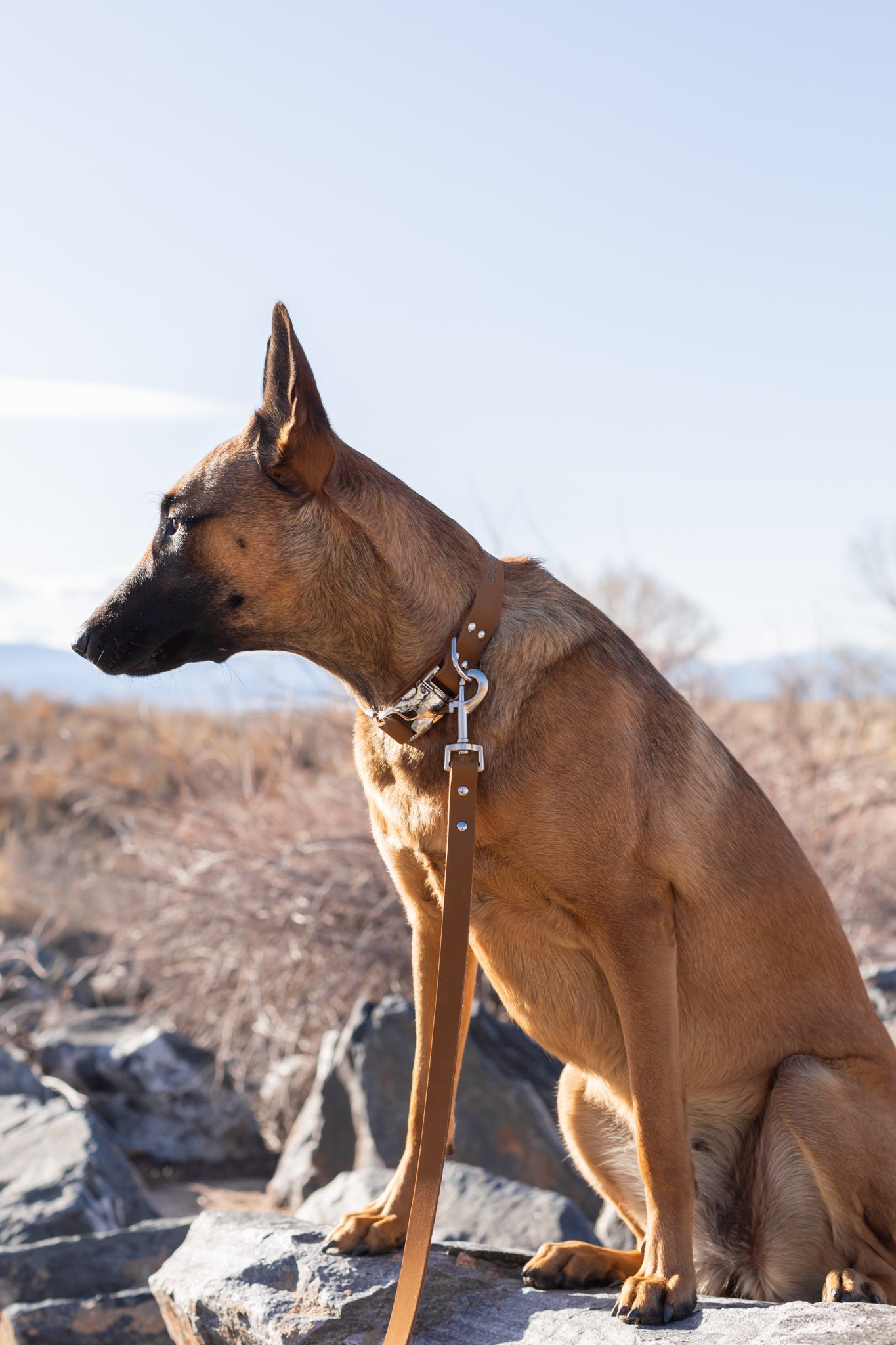 Modern Style Earth Brown Leather Leash