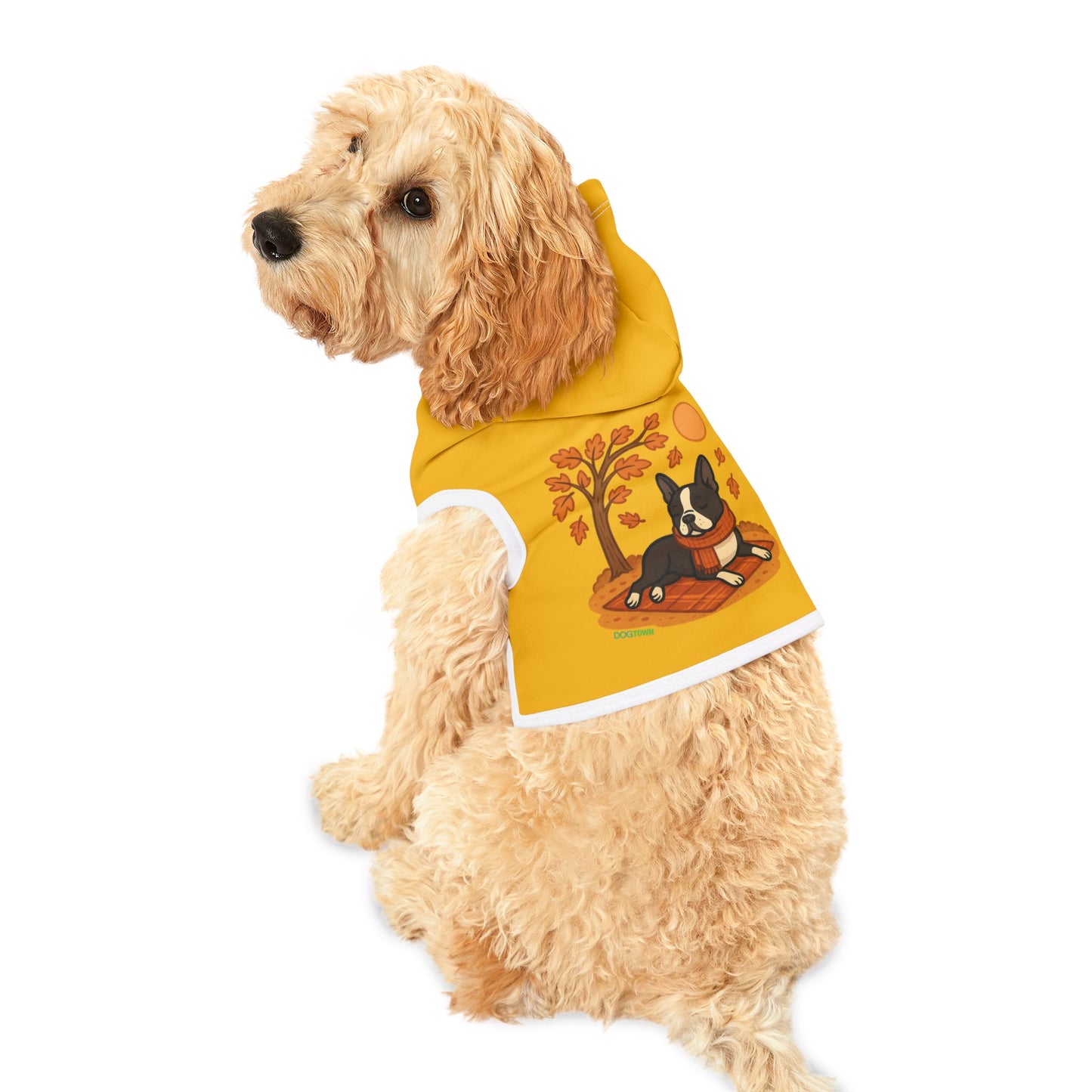 Dogtown Hoodie - Fall (Boston Terrier)