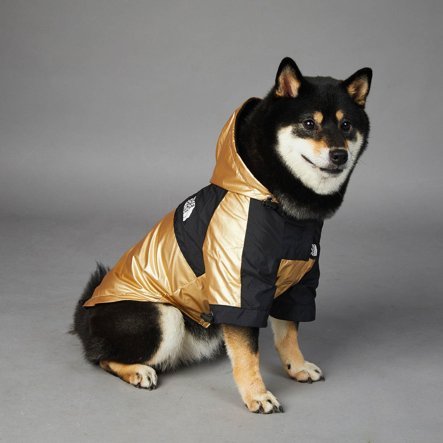 Hooded Dog Raincoat Jacket