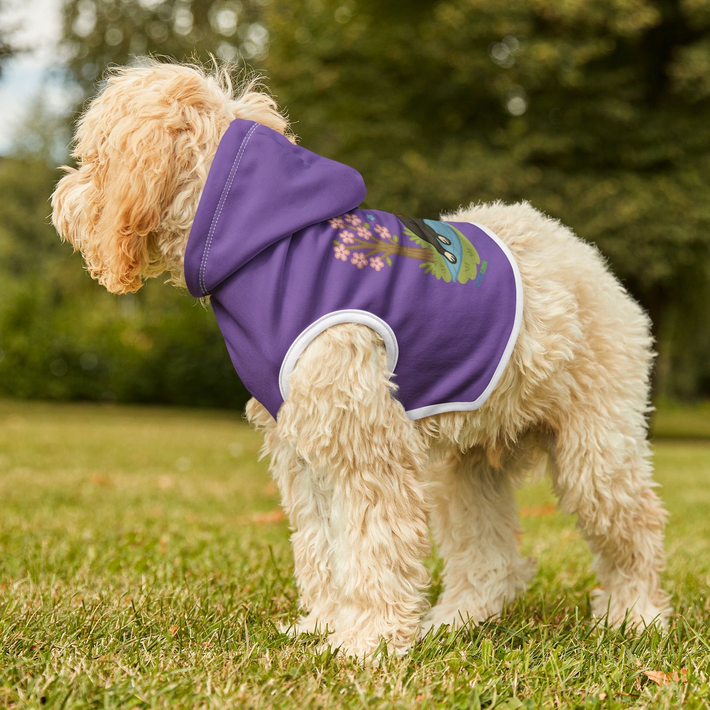 Dog Hoodie Winter (Boston Terrier)