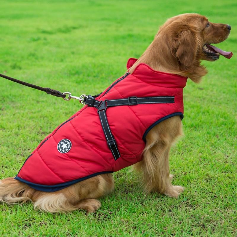 Winter Wonderland Pet Hooded Coat - Stylish And Warm Dog Jacket For Small Breeds