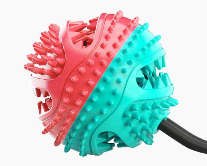 Dog Chew Bone for Teeth Cleaning