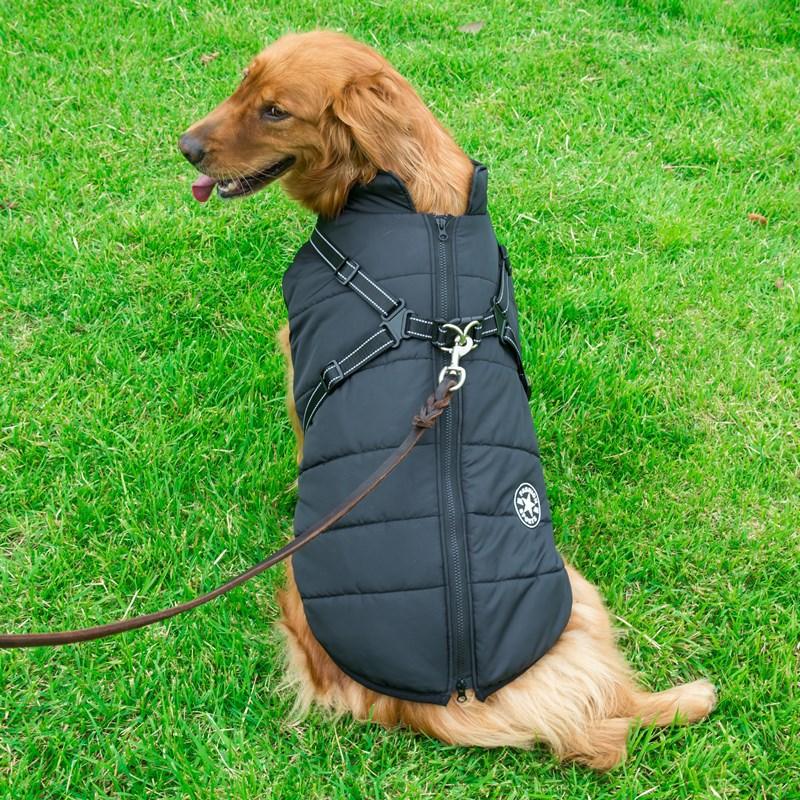 Winter Wonderland Pet Hooded Coat - Stylish And Warm Dog Jacket For Small Breeds