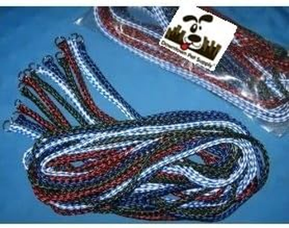 Braided Poly Slip Lead Dog Leash, 12 Pack, 5' Long - Universal Dog Slip Leash with Metal O Ring - Durable Dog Slip Lead for Groomers, Shelters, Rescues, Vets, or Doggy Daycares