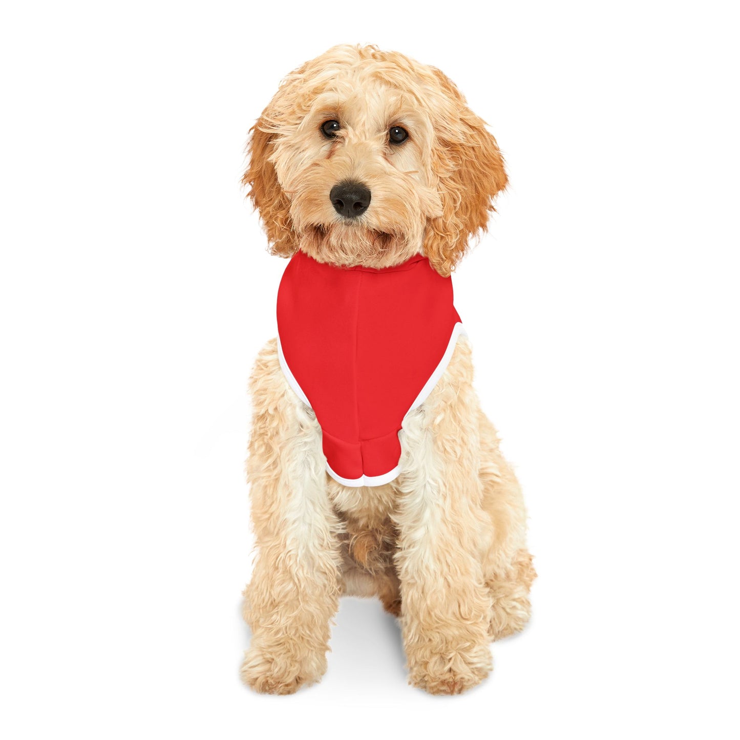 Valentine's Pet Hoodie "Will You Be My Valentine?"