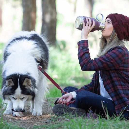 Stainless Steel Insulated Water Bottle with Removable Dog Bowl