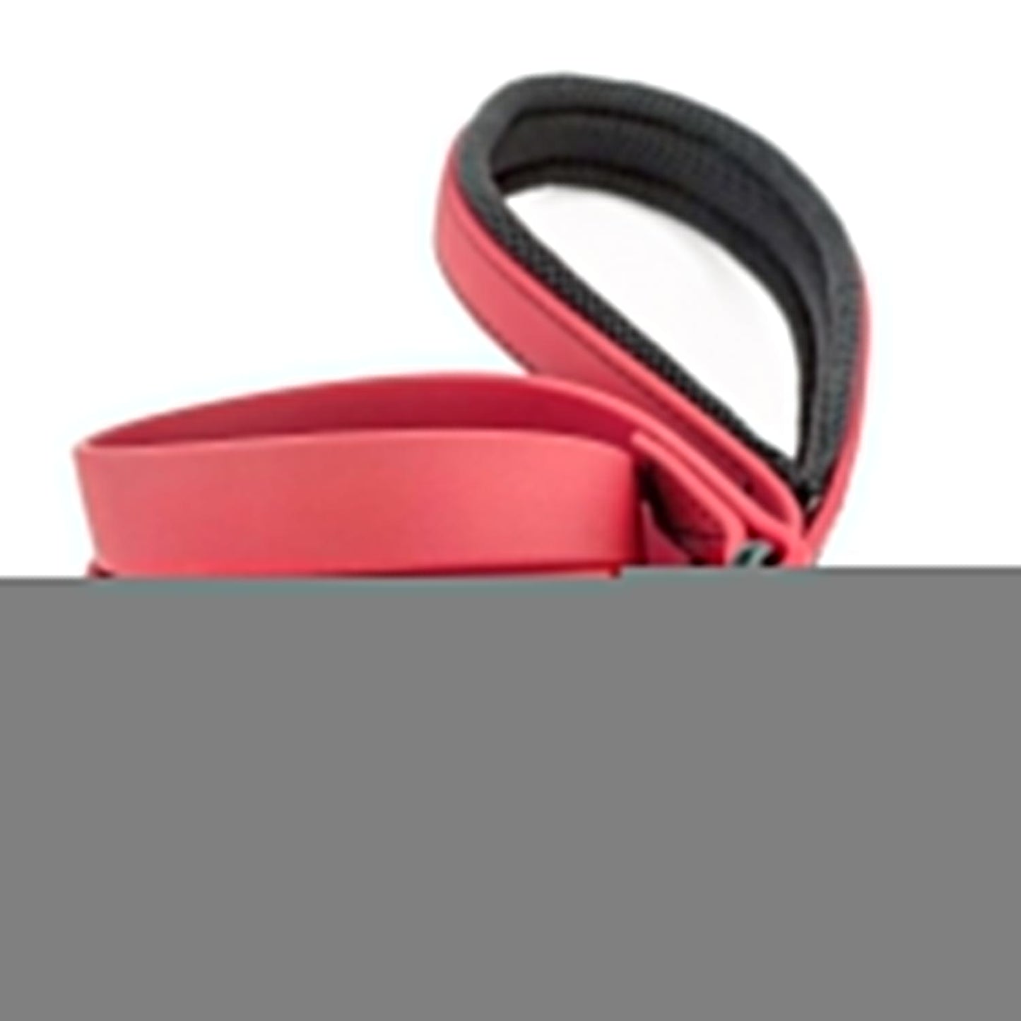 BESTIA DOG SPORT TACTICAL LEASH RED