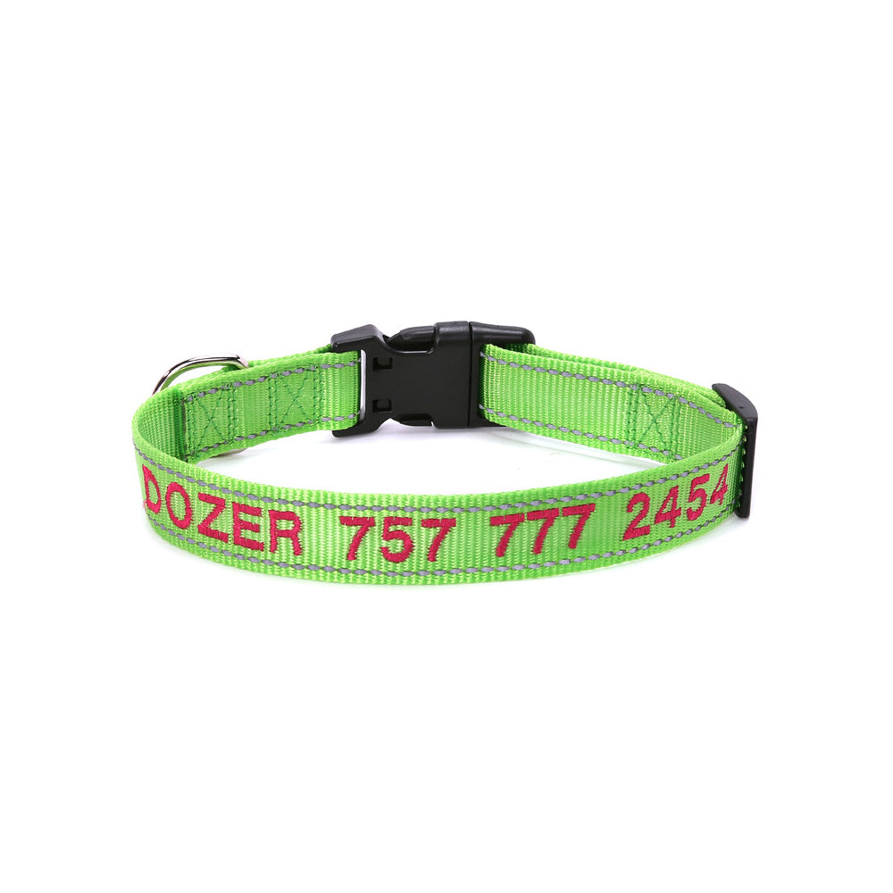 Collars and Leashes (Daycare Approved)