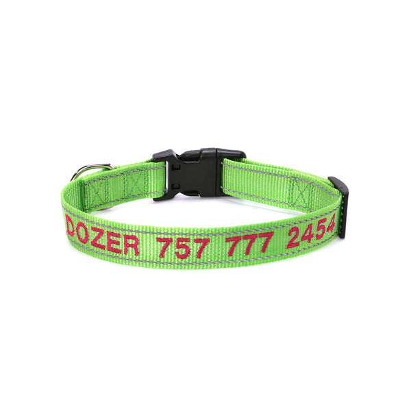 Collars and Leashes (Daycare Approved)