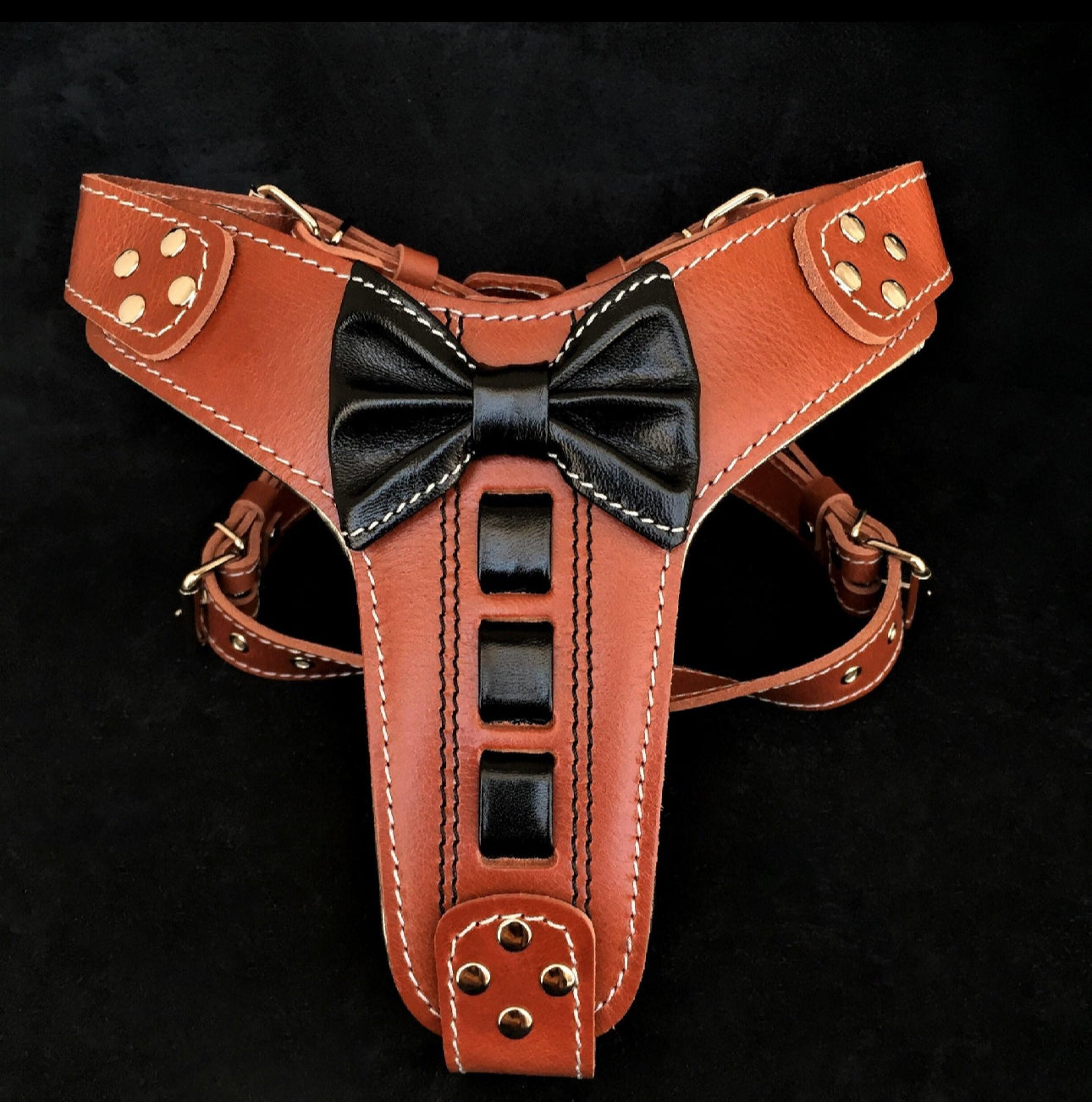 Premium Leather Collars and Leashes