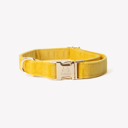 'Yellow' - Velvet Dog Collar
