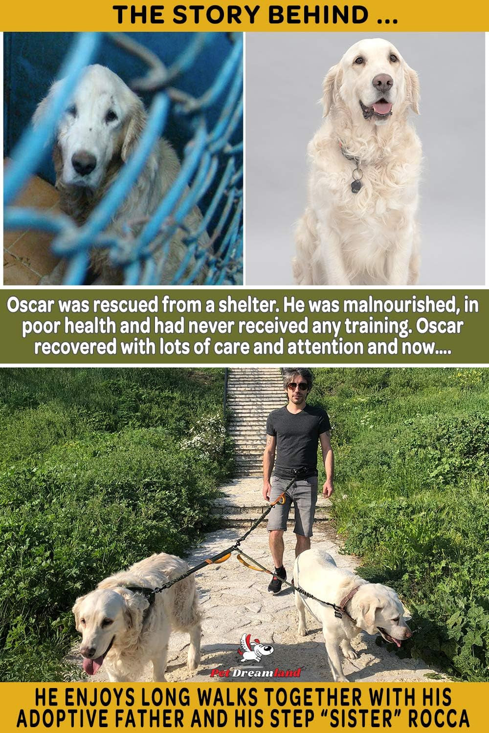 Double No Tangle Swivel Dog Coupler