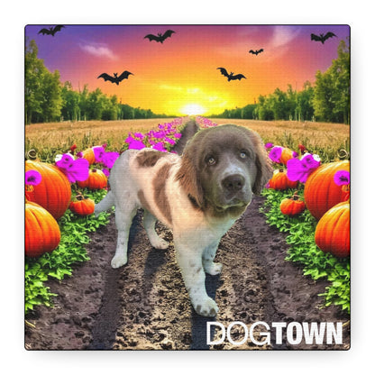 Stella - Halloween Canvas