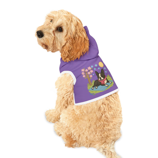 Dog Hoodie Winter (Boston Terrier)