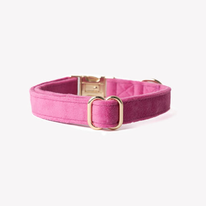 'Magenta' - Velvet Dog Collar