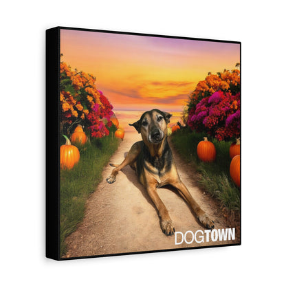 Caius - Halloween Canvas