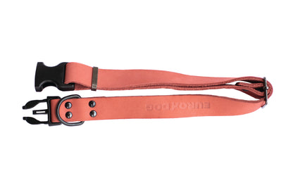 Sport Style Coral Reef Leather Dog Collar