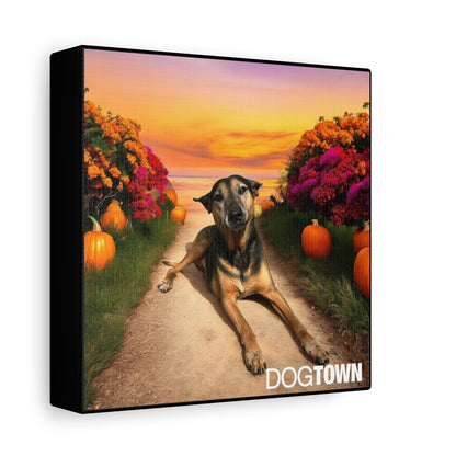 Caius - Halloween Canvas
