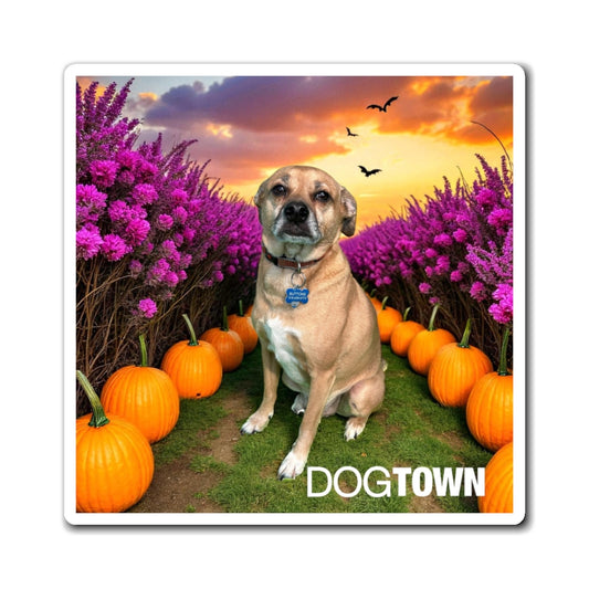 Buttons - 3x3 Halloween Magnet