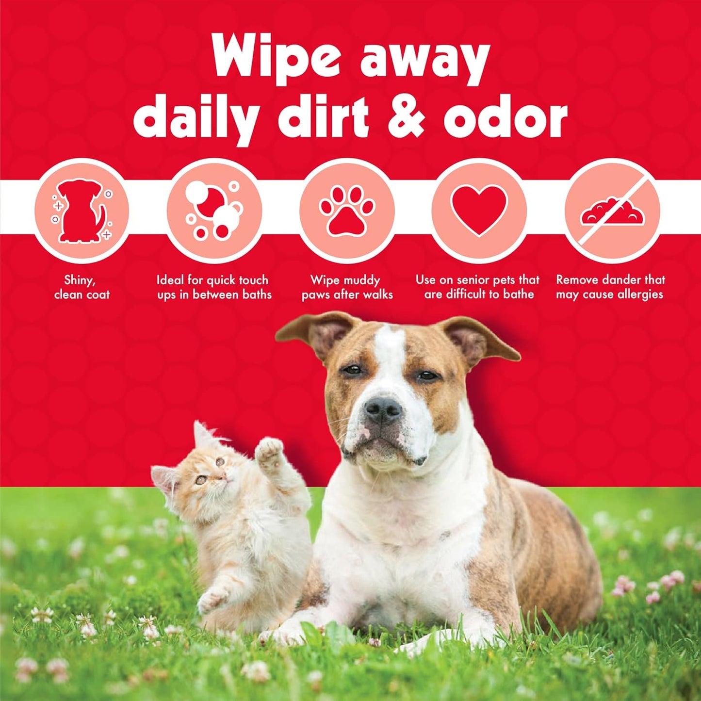 100 Large Wipes for Dogs