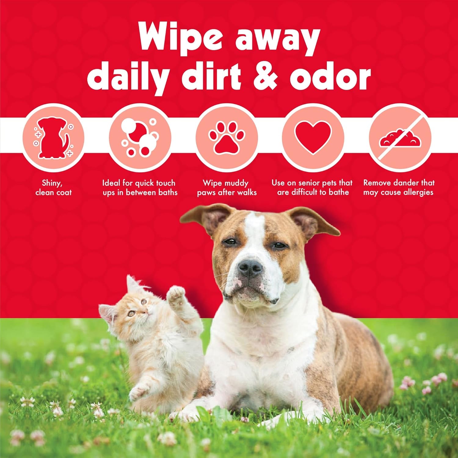 100 Large Wipes for Dogs