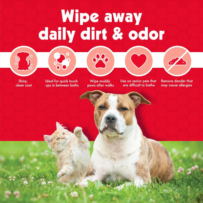100 Large Wipes for Dogs