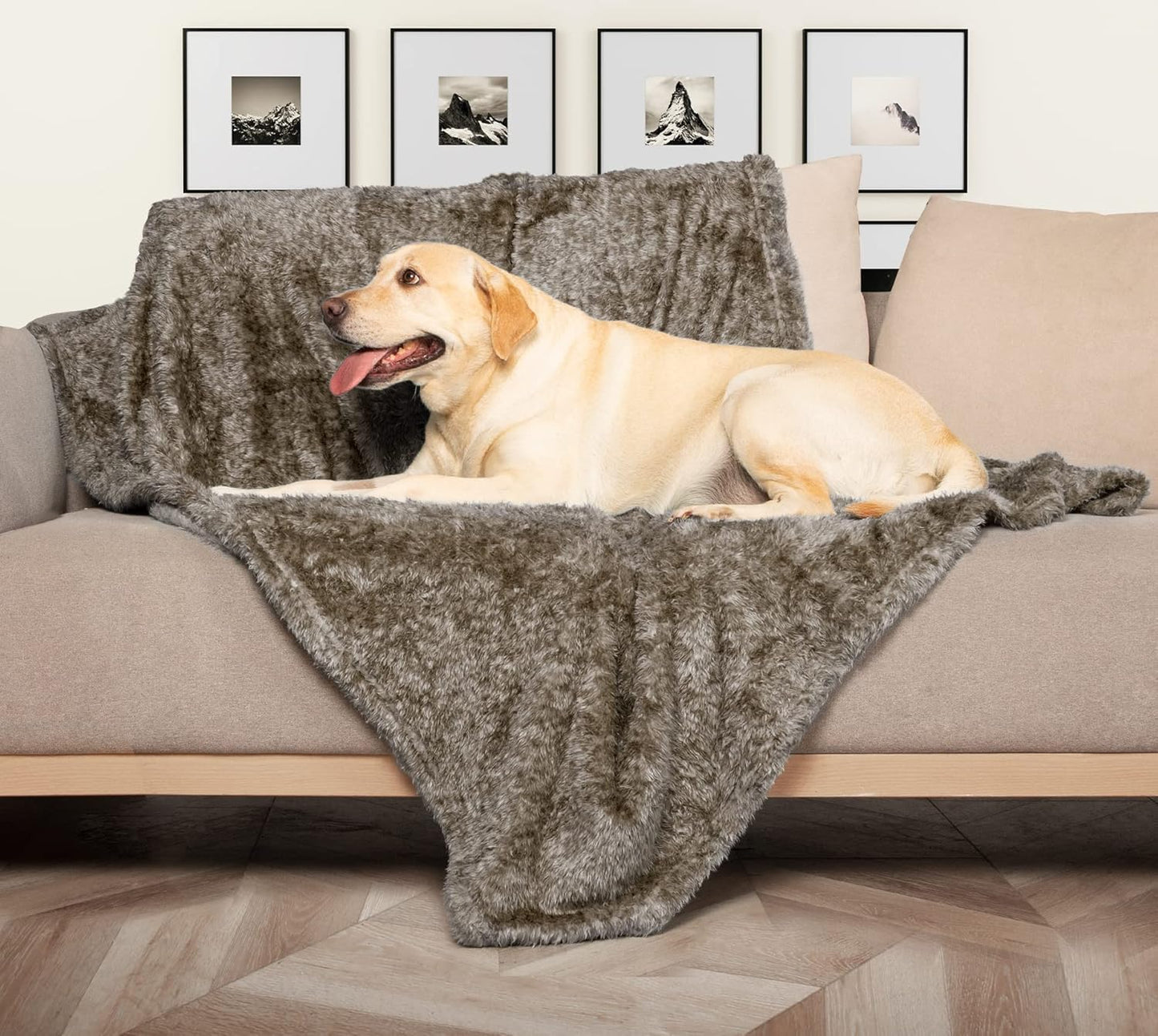 Fluffy Fleece Dog Blankets,Warm Soft Fuzzy Pets Blanket for Puppy,Small,Medium,Large Dogs and Cats,Plush Pet Throws for Bed,Couch,Sofa,Travel(40X60 Inch, Taupe)