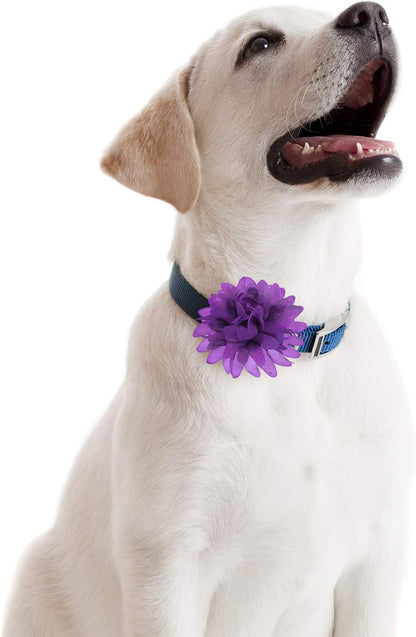 Dog Collar Flowers - 20 Pcs 4 Inch 