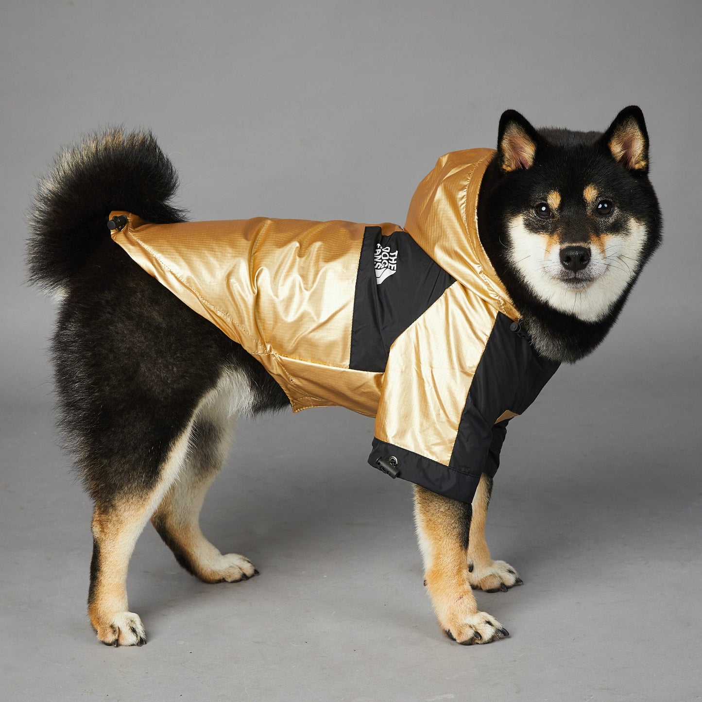 Hooded Dog Raincoat Jacket