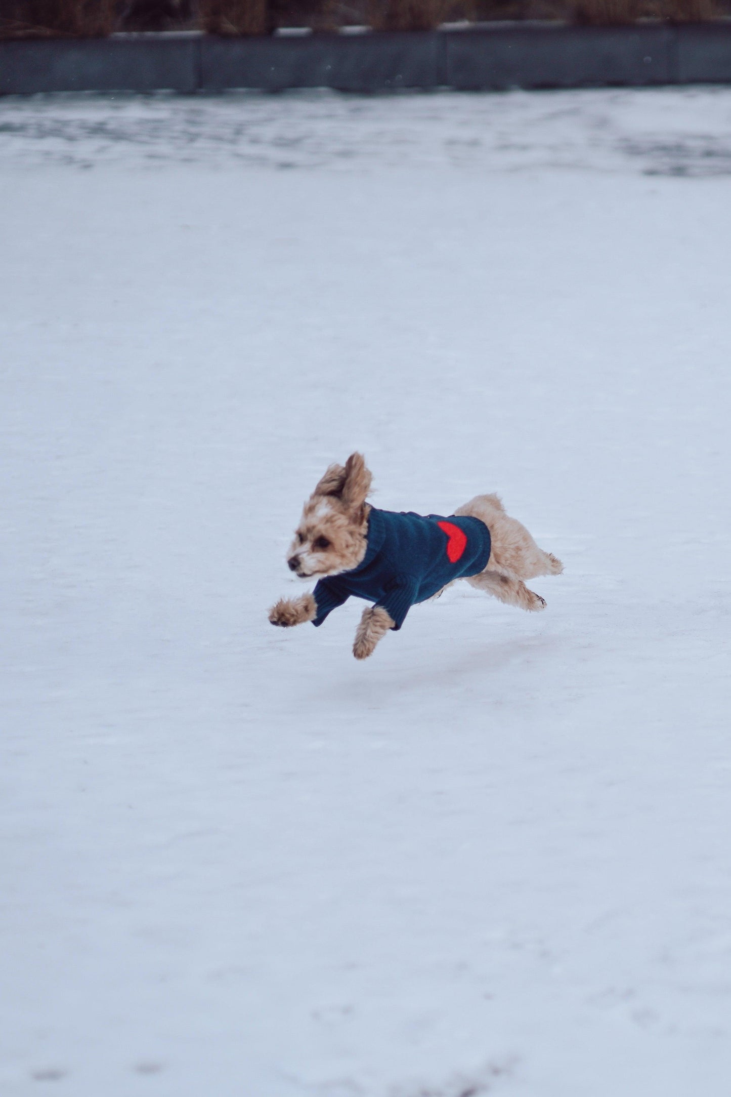 Heart to Heart Button-Up Cardigan Sweater