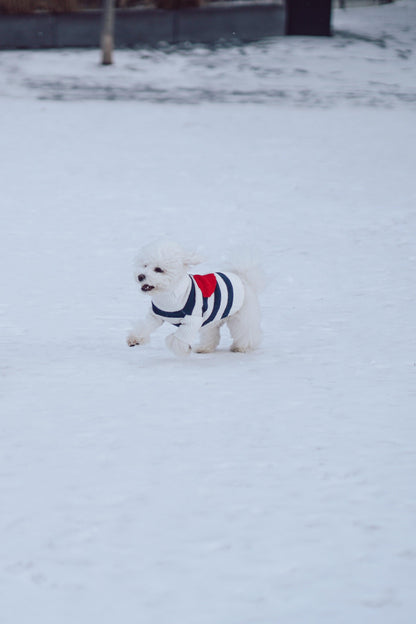 Sailor of My Heart Striped Turtleneck Sweater