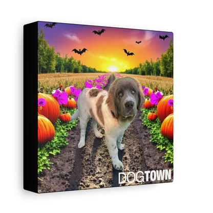 Stella - Halloween Canvas