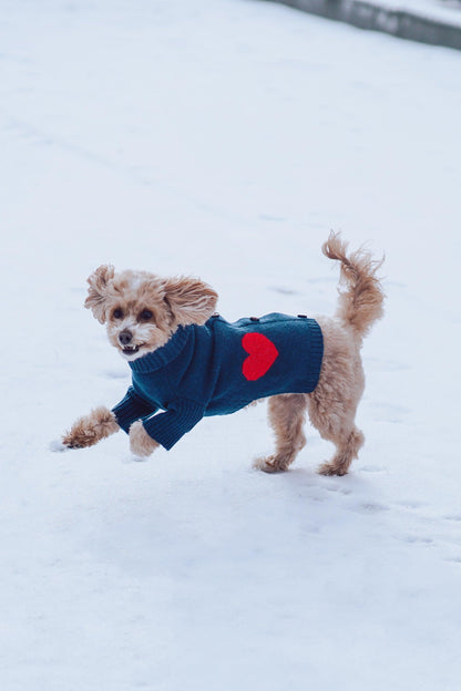 Heart to Heart Button-Up Cardigan Sweater