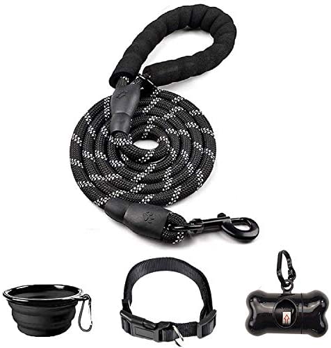 5 FT Thick Highly Reflective Dog Leash- Black