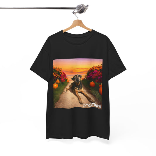 Caius - Halloween Tee