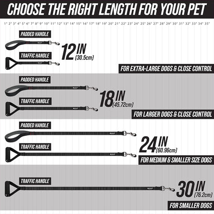 Short Dog Leash with Traffic Handle for Large Dogs